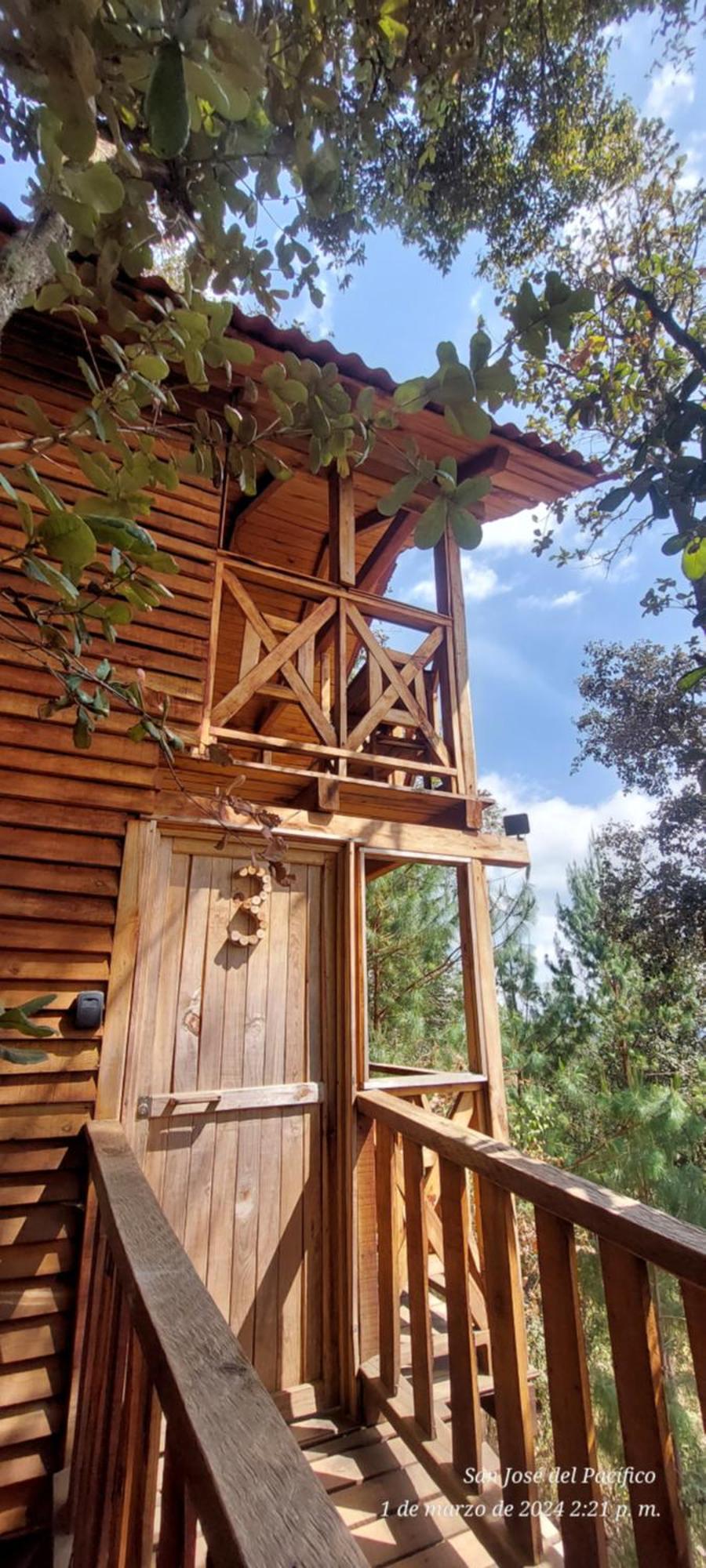 Cabana En El Bosque De San Jose Del Pacifico 3 מראה חיצוני תמונה